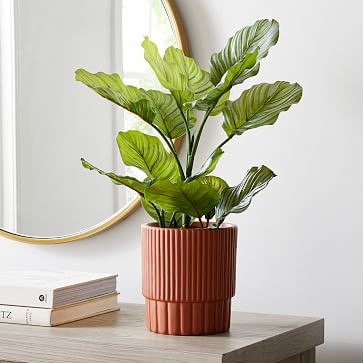 Faux Potted Apple Leaf | West Elm (US)