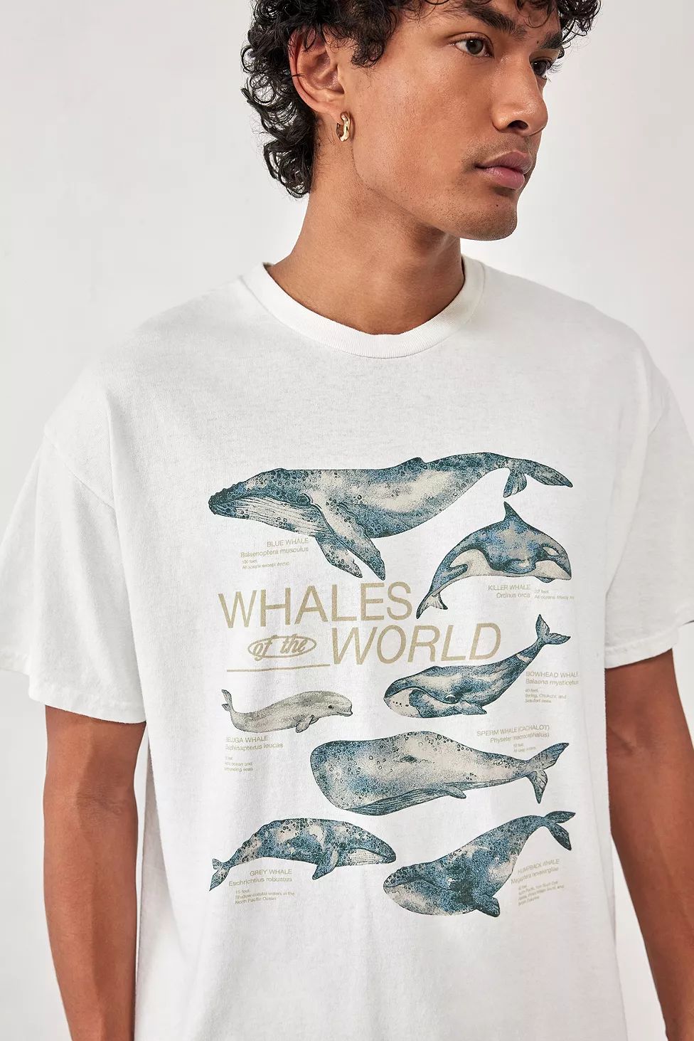 UO White Whales World T-Shirt | Urban Outfitters (EU)