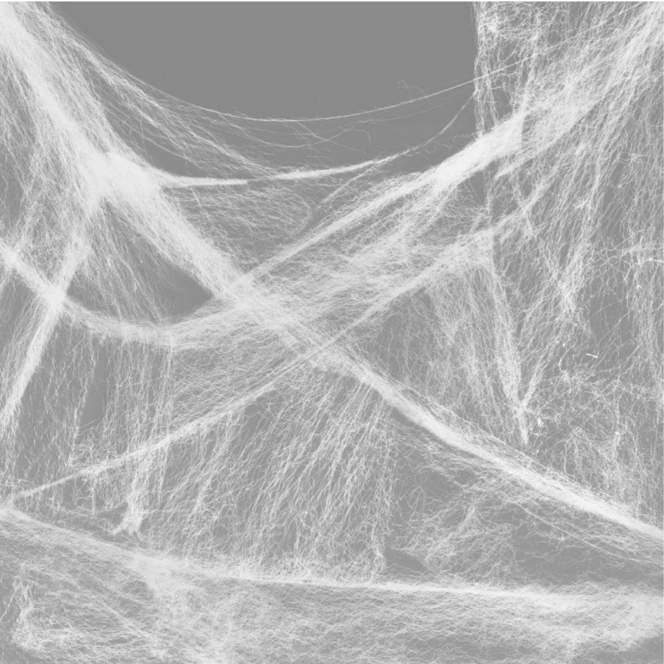 Inexpensive way to add a lot of fun to your Halloween decor! Bonus: toss it when you’re done… no storage!

#LTKHome #LTKSeasonal #LTKFallSale