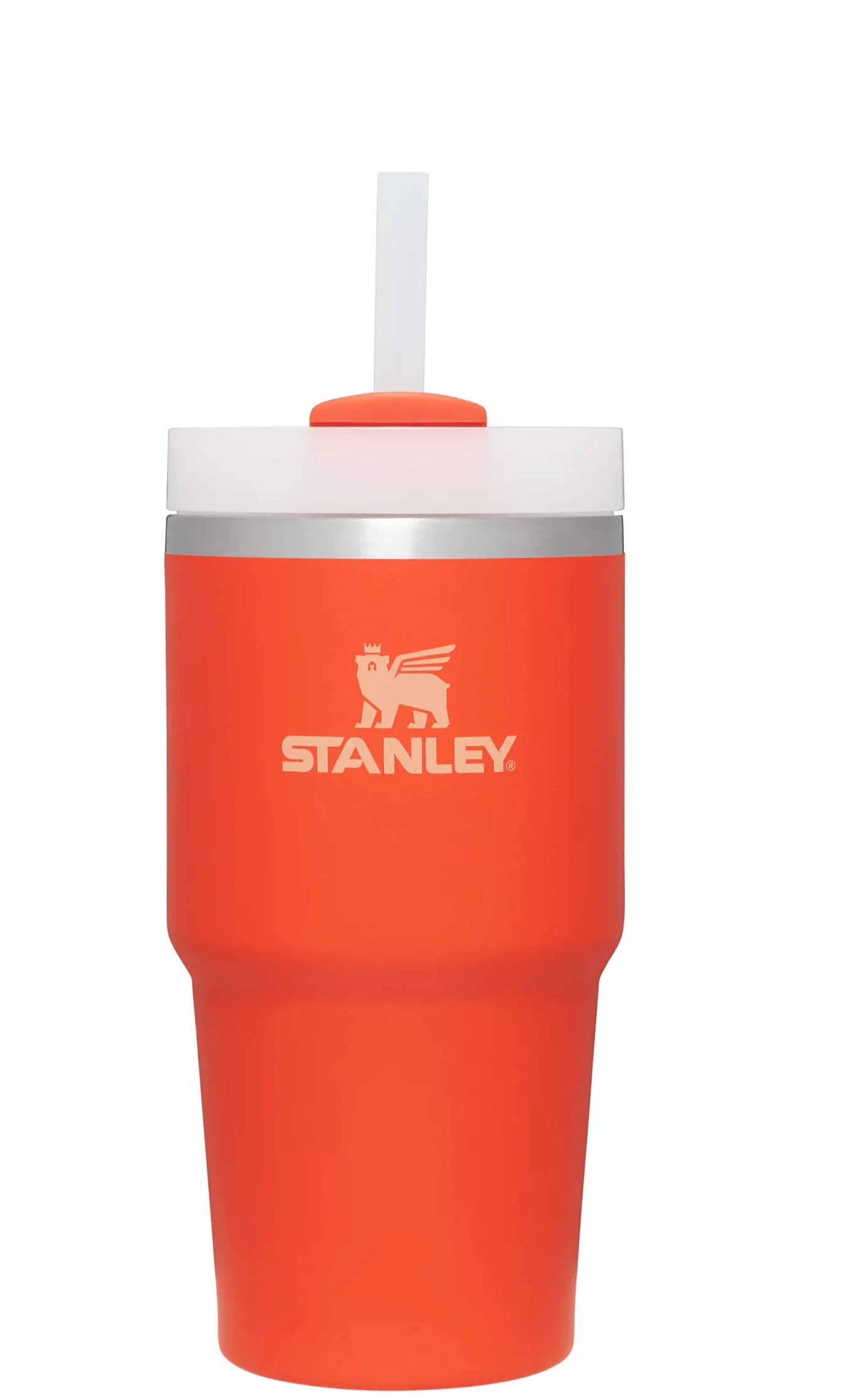 The Quencher H2.0 FlowState™ Tumbler | 20 OZ | Stanley 1913 (US)