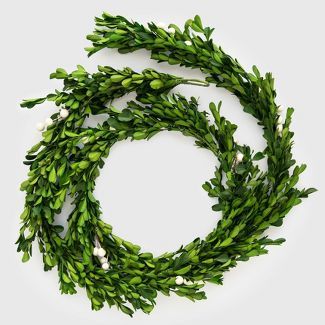 6ft Preserved Boxwood Garland - Sugar Paper™ + Target | Target