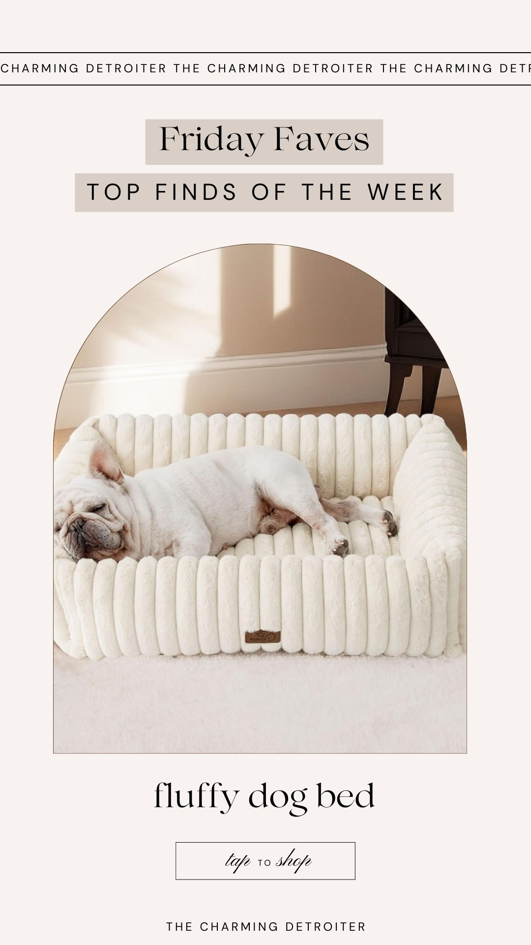 The best and coziest dog bed

#LTKHoliday #LTKFindsUnder50 #LTKGiftGuide