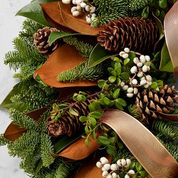 Copper Ribbon Live Wreath & Garland | Williams-Sonoma
