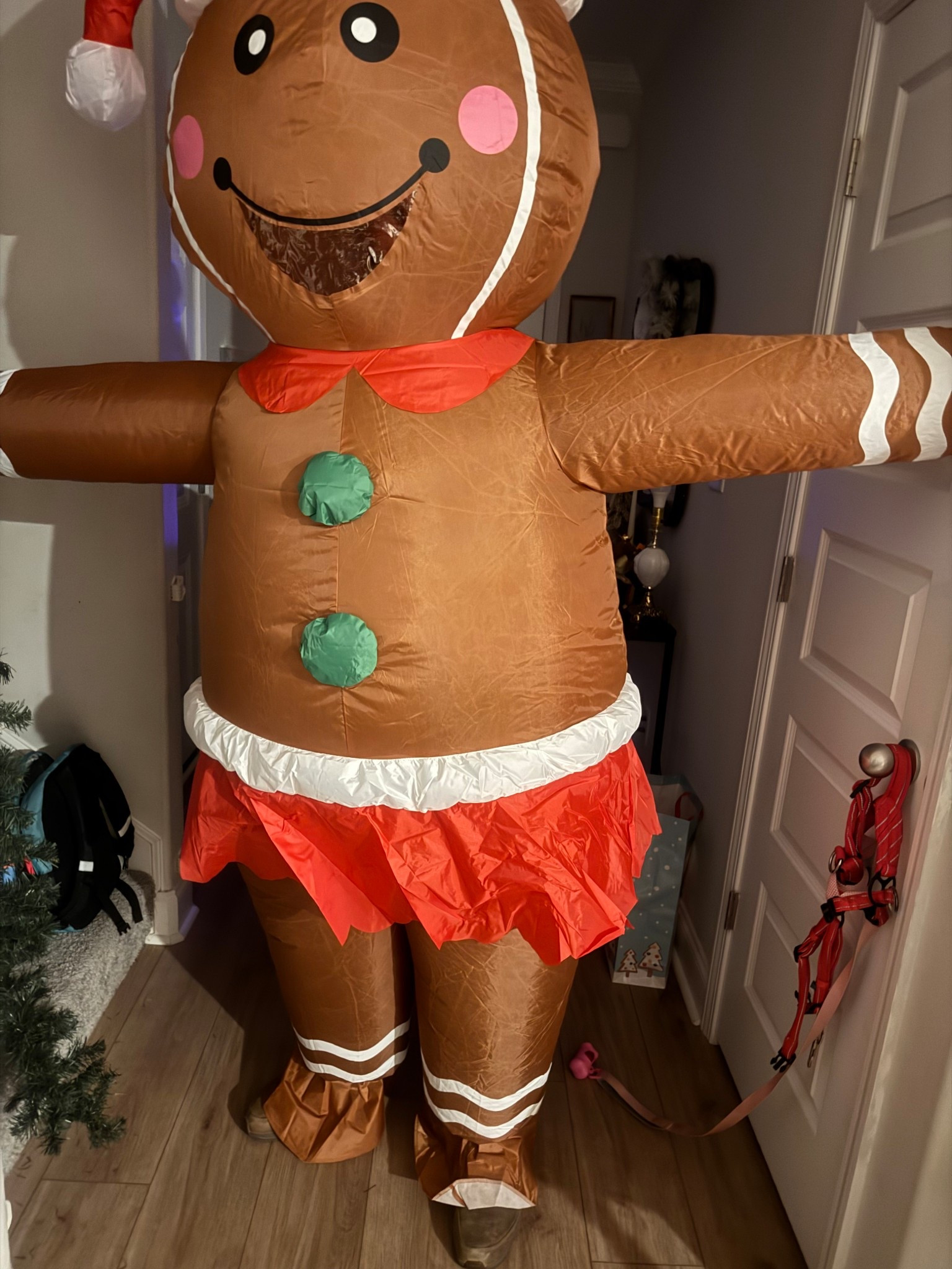 This gingerbread blowup costume is so fun! Would make a great white elephant gift or just get for yourself like I did and cause mayhem around town 😂