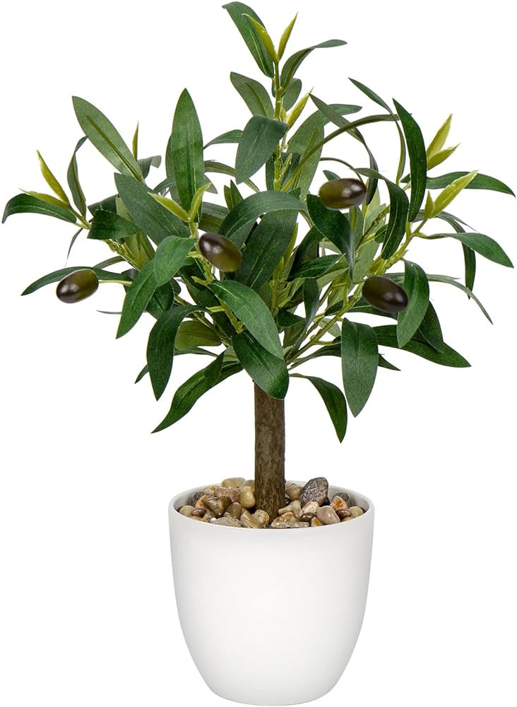 DILATATA Faux Olive Tree Artificial Potted Olive Tree 12" Fake Plants with White Pot Small Faux O... | Amazon (CA)