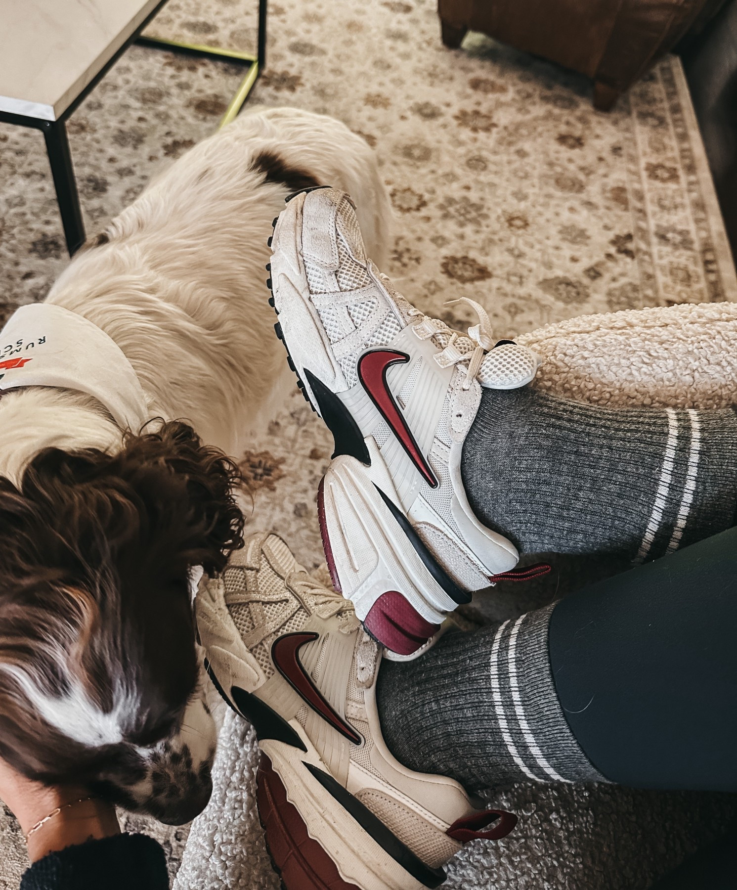 Sneaker + Socks combo 

#LTKActive