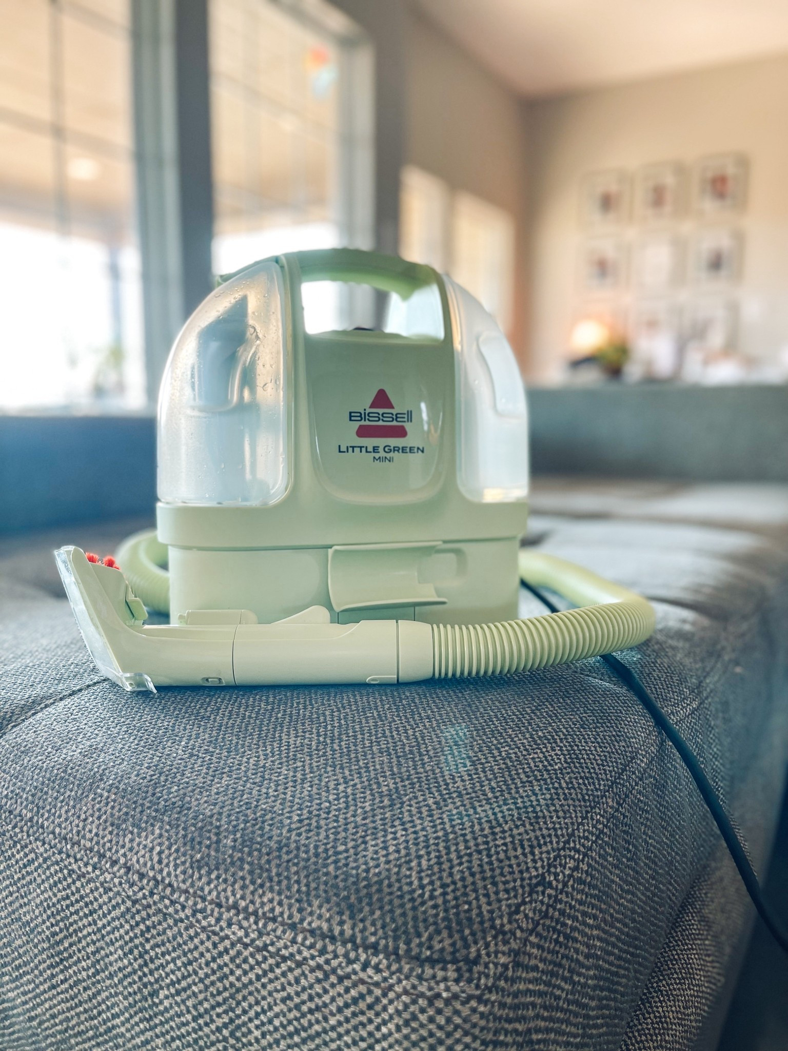 Completing a very dreaded, but much needed, task today + cleaning our sofa! The Little Green Mini is currently on sale! Great for carpet + upholstery. Have a spill on your beautiful upholstered dining chairs at Thanksgiving dinner? No worries! This thing will take care of it in a jiffy! Don’t underestimate this thing, it’s tiny but mighty! 💪

#LTKSaleAlert #LTKGiftGuide #LTKHome