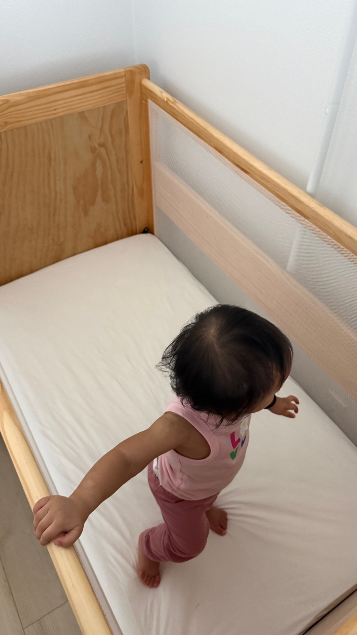 softest cotton crib sheets! #ToddlerSheets #ToddlerCrib #crib ￼#toddlerfinds #toddlerbed #halosleep

#LTKmomlife #LTKHome #LTKKids