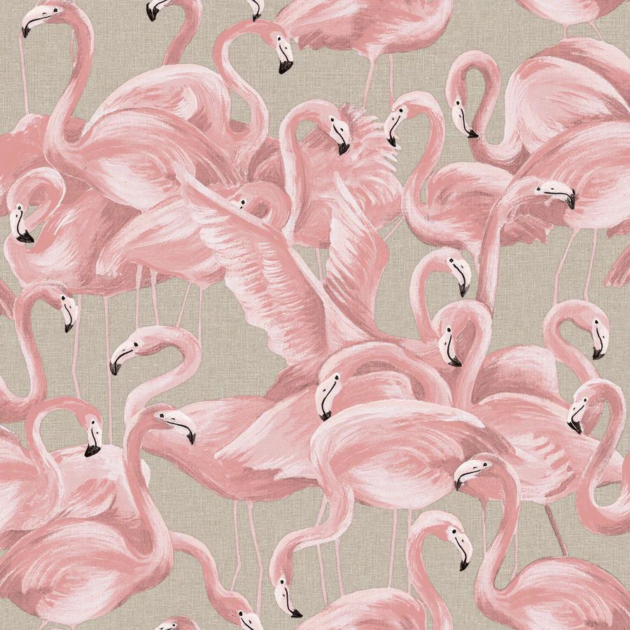 Flamingo | Tempaper