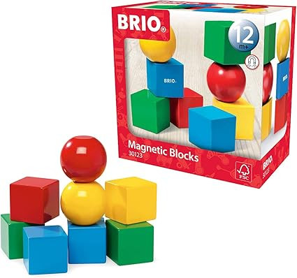 Brio World - 30123 Magnetic Blocks | Fun Toddler Toy for Kids Ages 1 and Up | Amazon (US)