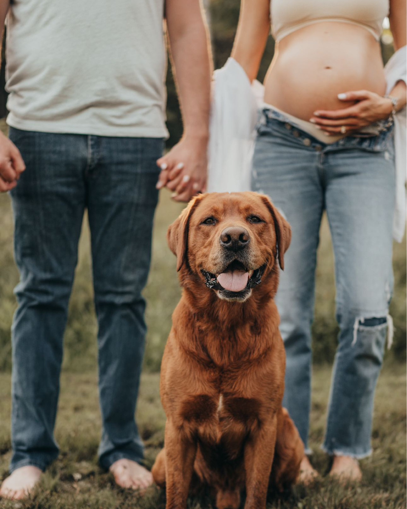 Kip stole the show 🐶🥰 

Maternity photo shoot, 35 weeks pregnant 

#LTKfamily #LTKbump #LTKbaby