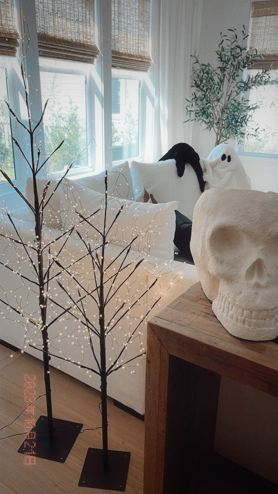 Halloween decor 
Lighted trees 

#LTKSeasonal #LTKHoliday #LTKHalloween