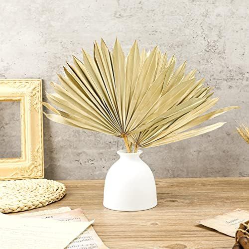 3 Pieces Dried Palm Leaves 16-17 Inch Natural Dried Palm Fans Natural Dried Palm Leaves Real Palm Sp | Amazon (US)