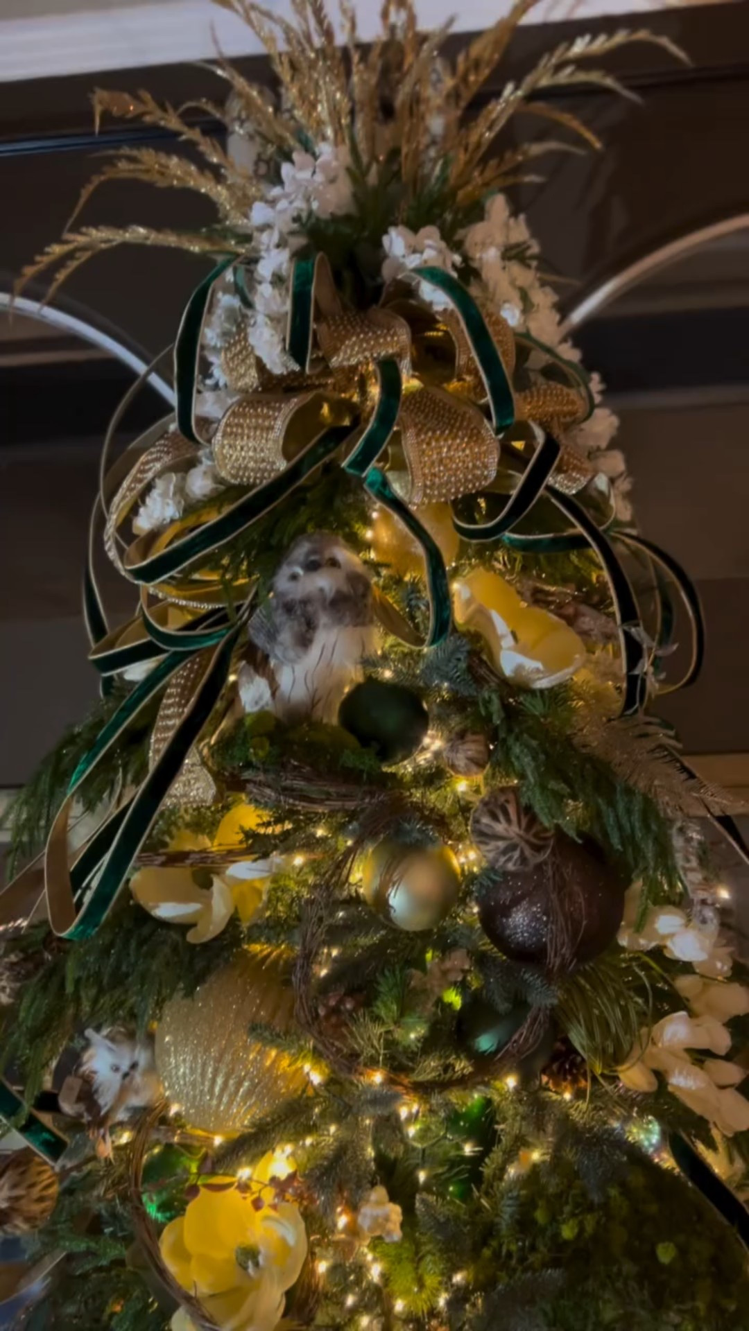 Proof that the right lights can make your whole room magical.  Take a nighttime tour of my family room, all lit up for Christmas.  From my Fancy Forest Tree lit with warm white snake lights, to my mantel and giant wreath full of cluster lights, and my Snowy Owls Tree sparkling with clear wire snake lights, it’s all about the light in this room!

Comment “Lights” to shop all the lights in this video.

#Christmas #Christmastree #Christmaslights #Clusterlights #snakelights #clearwirelights #Holidays #HolidayDecor #Decor #Christmasdecor #decorating #decoration #twinklelights #Christmasspirit #Christmasvibes #lightitup