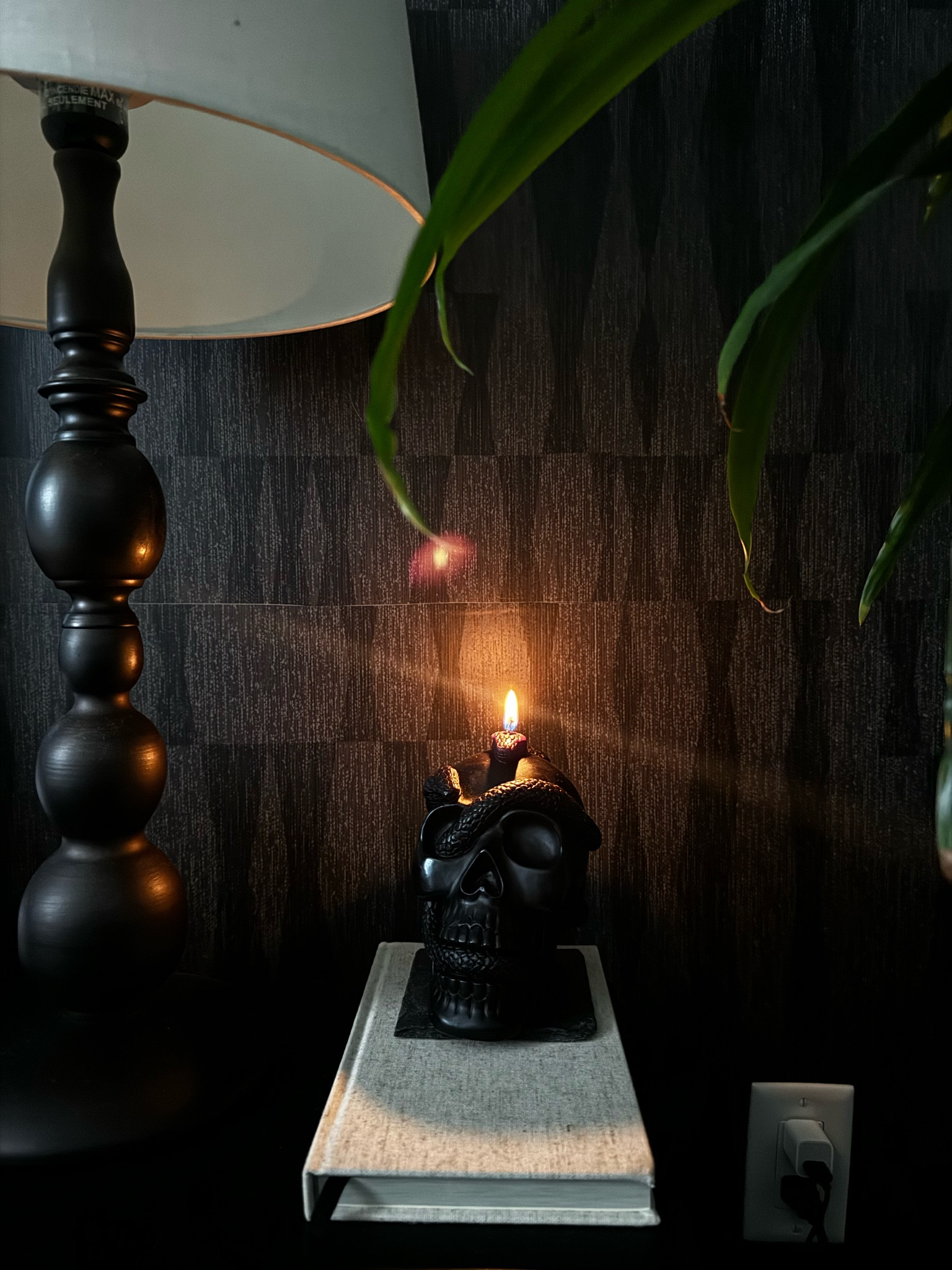 The cutest skull candle for Halloween 💀🖤

#LTKHome #LTKSeasonal #LTKFindsUnder50