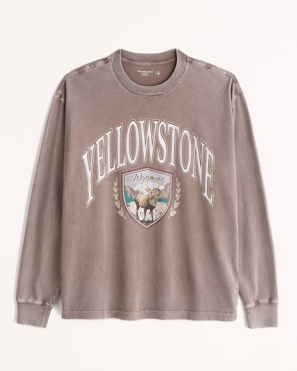 Long-Sleeve Yellowstone Park Graphic Tee | Abercrombie & Fitch (US)