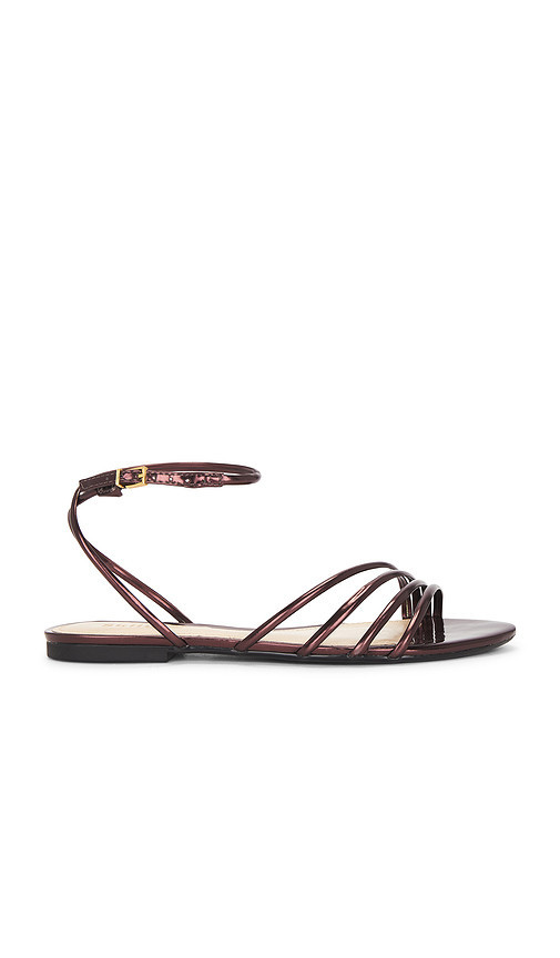 Schutz Inez Flat Sandal in Brown. Taglia 8.5. Also in 7.5, 8. | Revolve Clothing (Global)