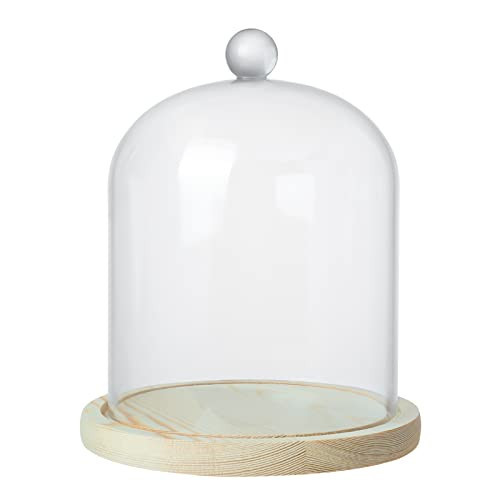 Clear Cloche Glass Dome,Glass Cloche to Cover Plants and Decorations,Display Dome Cloche for Dessert Foods Candles. (6X7Inch) | Amazon (US)