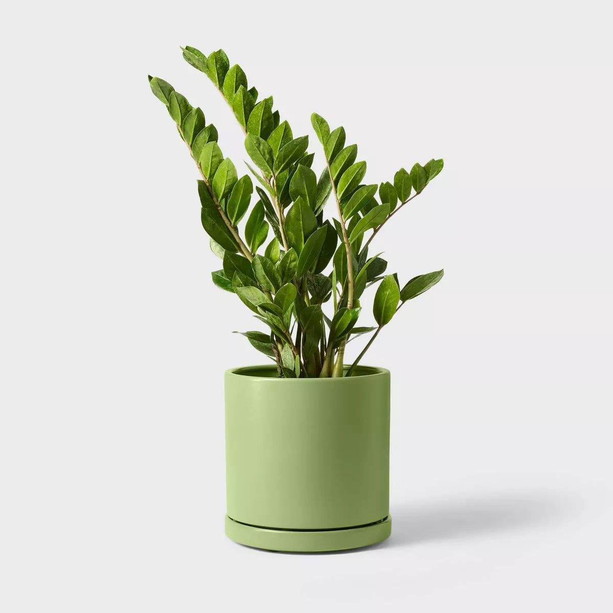 Hilton Carter for Target Ceramic/Metal Indoor Outdoor Planter Pot with Saucer & Rotation | Target