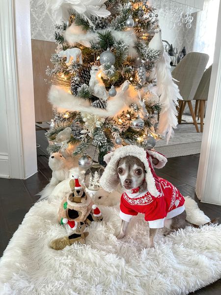 The cutest holiday outfit and burrow toy!

Dog toy, dog clothes, dog hat

#LTKfamily #LTKunder50 #LTKHoliday