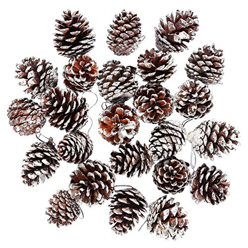 Cooraby 24 Pieces Christmas Pine Cones Ornament Natural PineCones with String Pendant Crafts for Gif | Amazon (US)