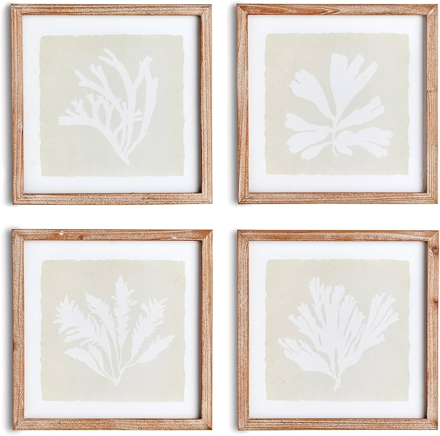 Napa Home & Garden Seaweed Petite Prints Set of 4 - Charming Kelp Silhouette Art Prints for Coast... | Amazon (US)