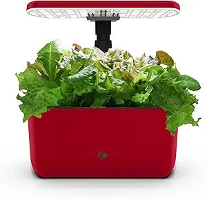 AeroGarden Harvest Lite in Cherry Red, Soil-Free Indoor Hydroponic Garden with LED Grow Light for... | Amazon (US)