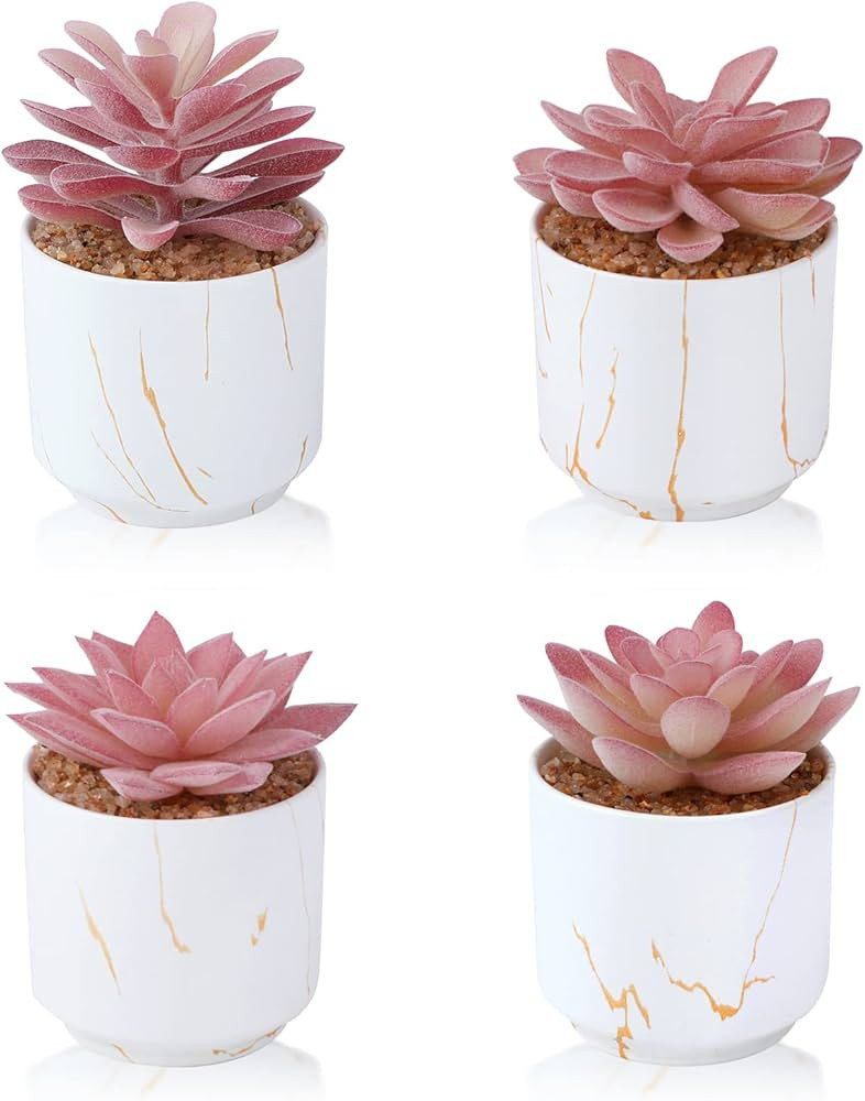 Succulent Artificial Plants,Cute Fake Succulents in 4 White Ceramic Pots,Small Fake Plants for Of... | Amazon (US)