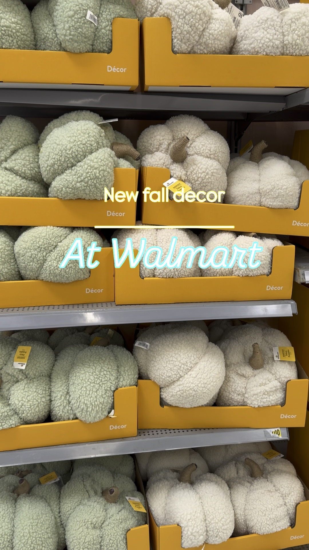 NEW fall home decor finds at Walmart! 

Pumpkins, fall wreaths, fall floral arrangements, baskets, glass pumpkins, table top decor, October, ber months, cozy season, Walmart home, Walmart finds, IYWYK

#cozyhomedecor #neutralhomedecor #homedecor #falldecor #affordablehomedecor #falliscoming #walmartfinds #walmarthome #iywyk

#LTKVideo #LTKHome #LTKSeasonal