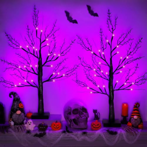 Halloween Decorations Indoor, 2 Pack 24 Inch Black Halloween Tree with 48 Purple Lights, Timer/USB/Battery Operated Halloween Table Decorations Spooky Tree for Home Decor Office | Amazon (US)