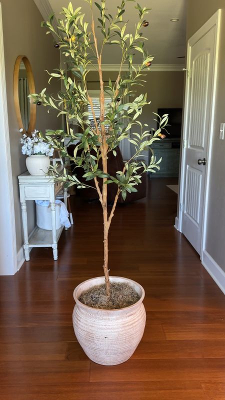 Walmart Olive Tree + Lowe’s Planter = Less than $100!!! 🤯

What a pretty combo! Oreo agrees! 🐈 

#LTKVideo #LTKsalealert #LTKhome