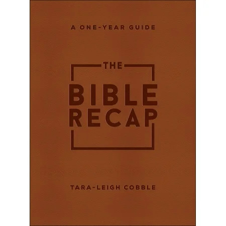 The Bible Recap: A One-Year Guide to Reading and Understanding the Entire Bible (Hardcover) | Walmart (US)