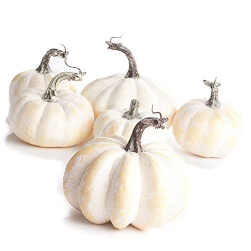 Factory Direct Craft Package of 6 Fall Artificial Assorted Creamy White Pumpkins for Autumn and Than | Amazon (US)