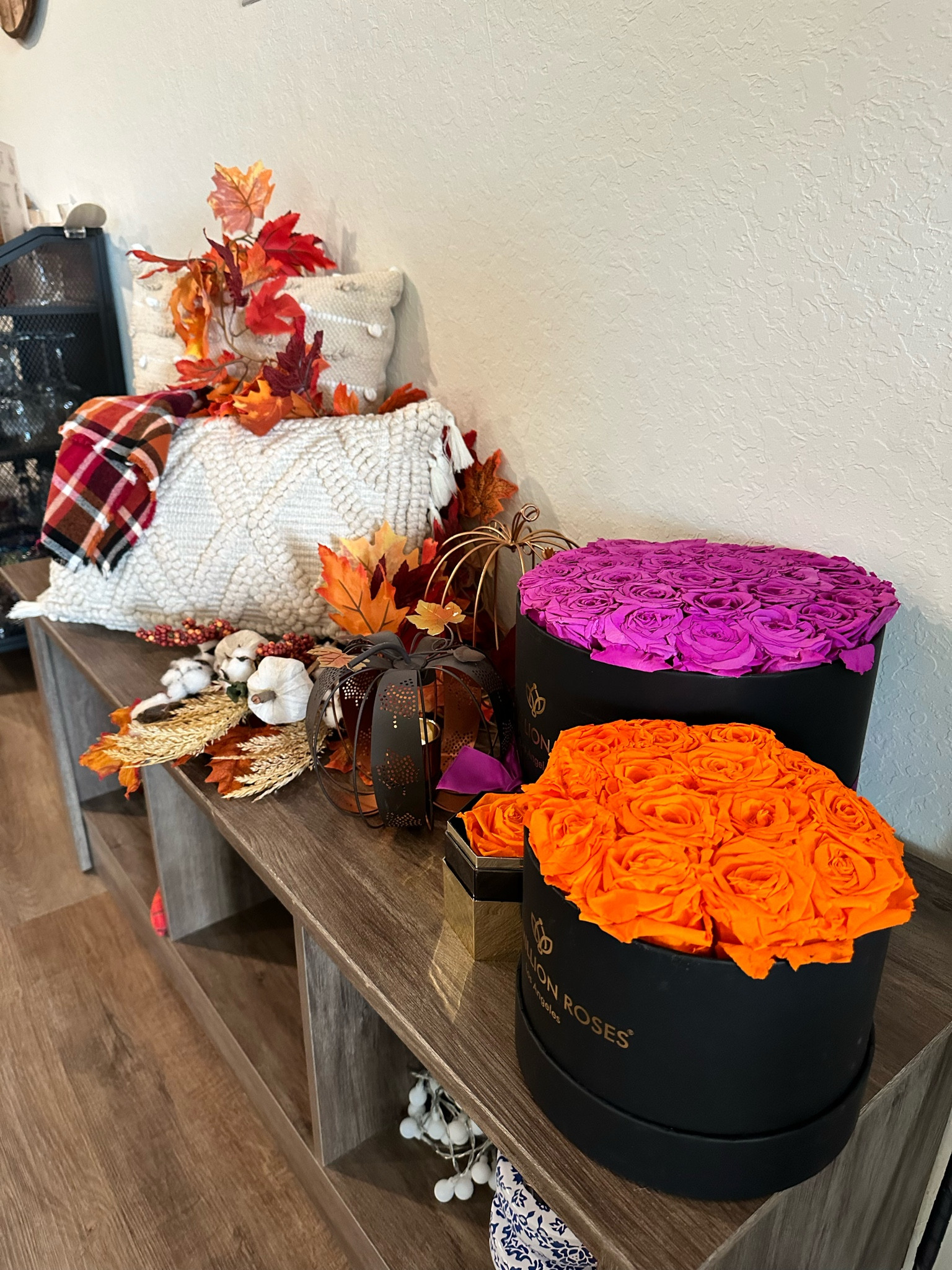 Fall decor 

#LTKFindsUnder100 #LTKFindsUnder50 #LTKSaleAlert