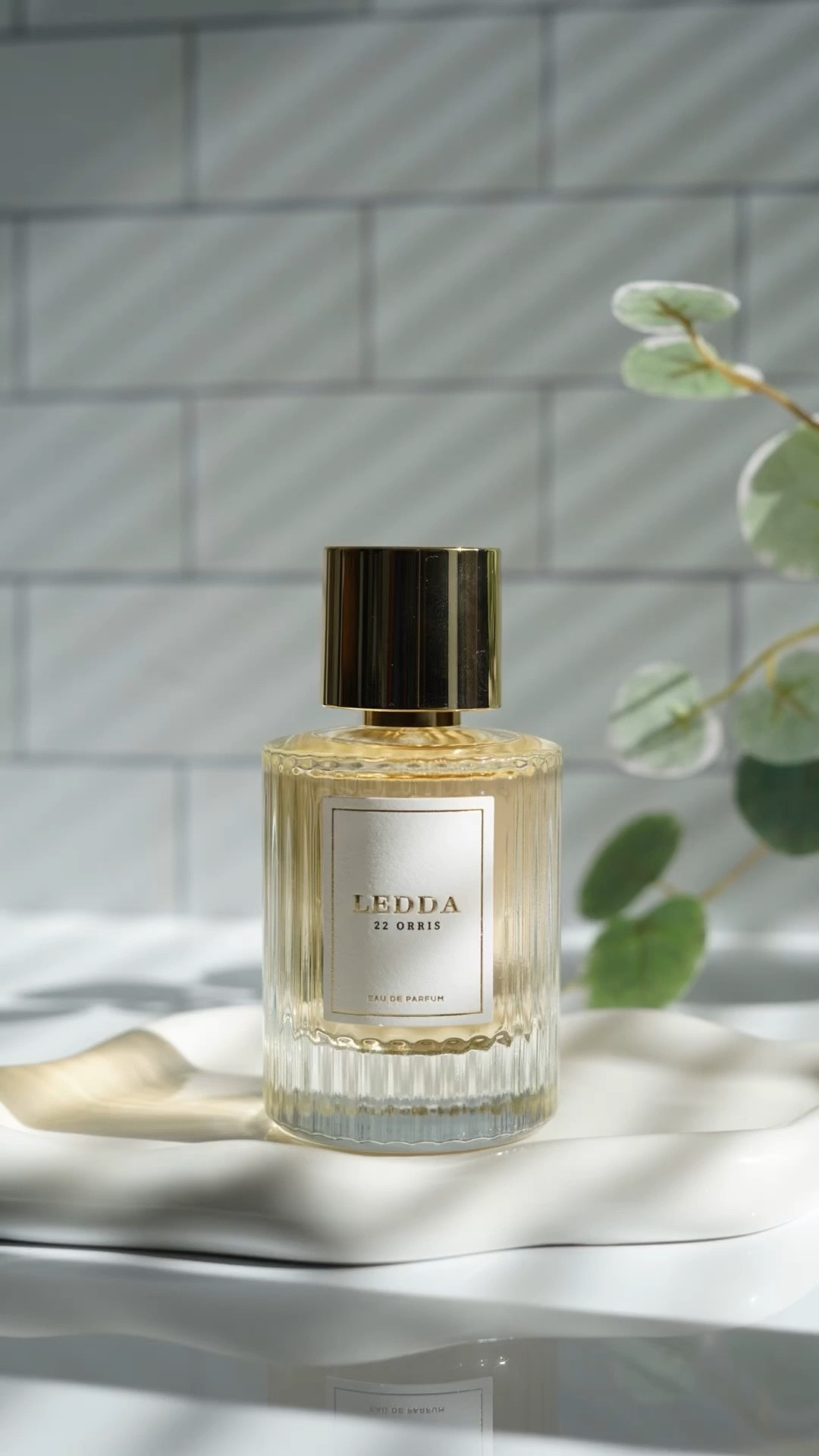 AD | Let’s get dressed for date night and try our new @leddafragrances. 22 Orris is a sweet feminine scent with soft subtle notes of buttery iris, sandalwood, and soft musk. Giving you that warm feel to elevate any signature scent in such a subtle way you can’t help but attract compliments. Turn heads all night long with Ledda’s Orris 22. #MomentsInLEDDA




#LTKbeauty #LTKstyletip #LTKVideo
