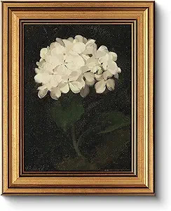 HUARCEY Gold Framed Vintage Wall Art for Living Room, Flowers Painting Canvas Prints Shelf Decor ... | Amazon (US)