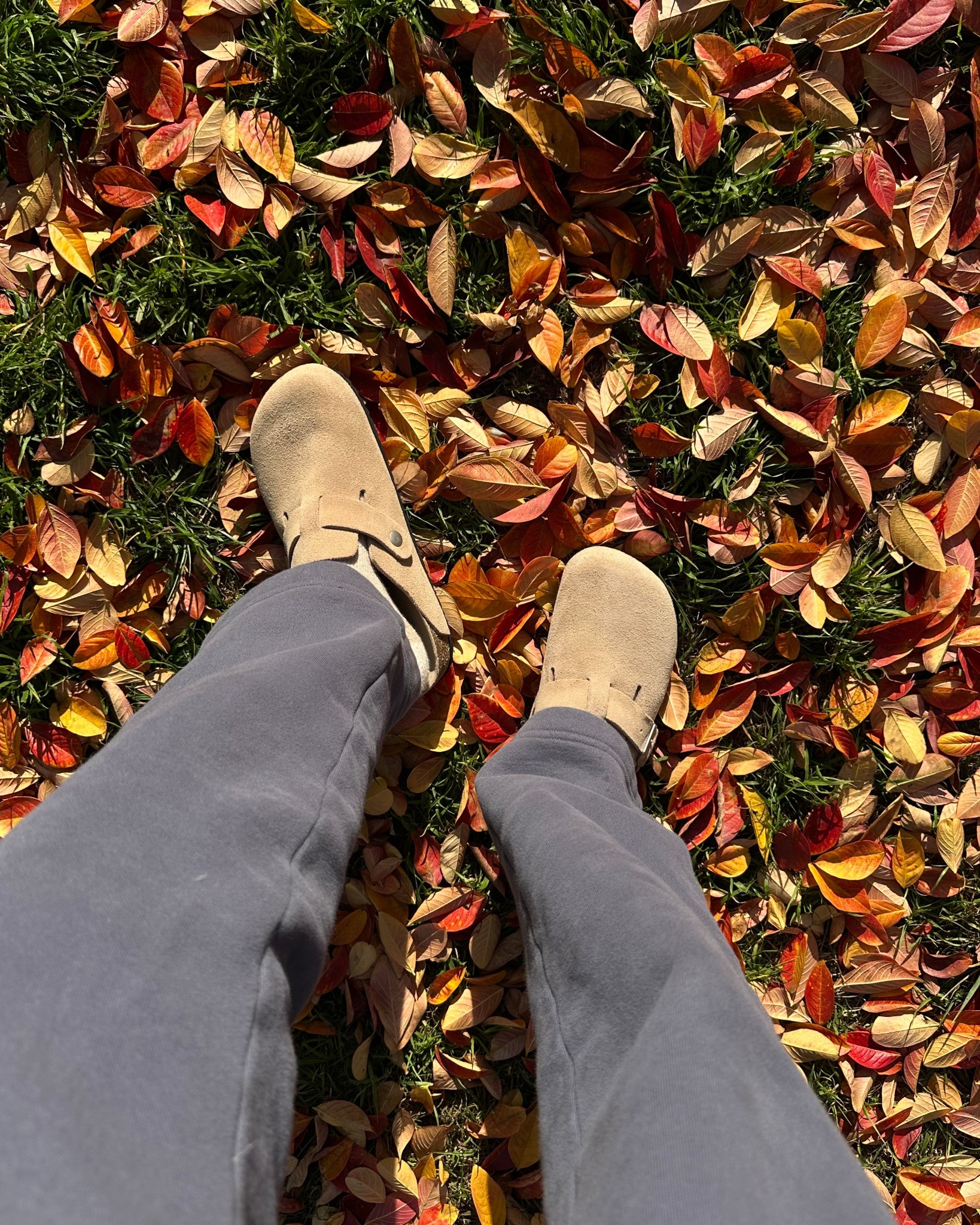 Comfy easy  mules from Quince 