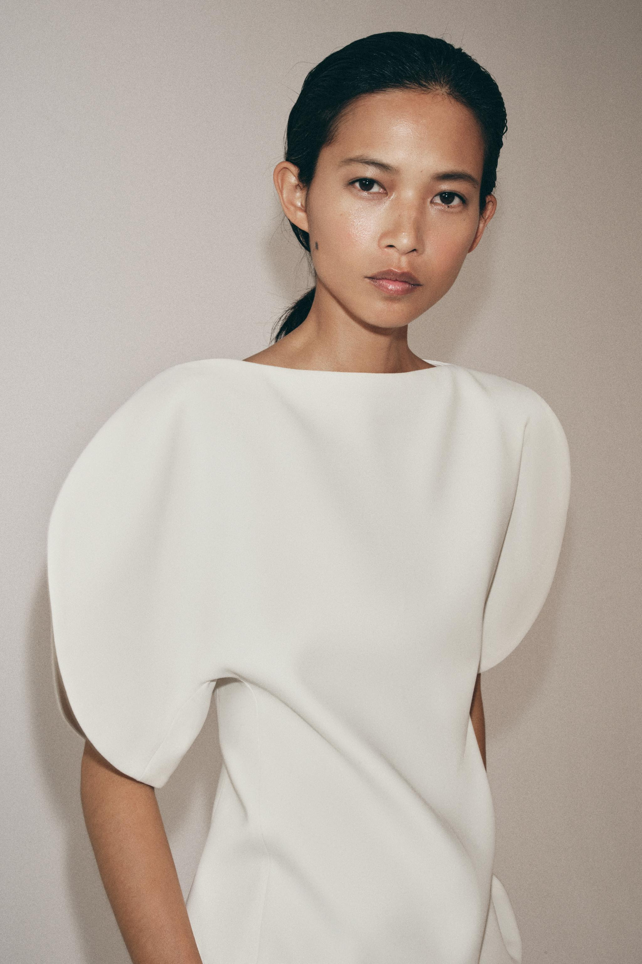 OBERTEIL MIT BALLONÄRMELN ZW COLLECTION | Zara DE