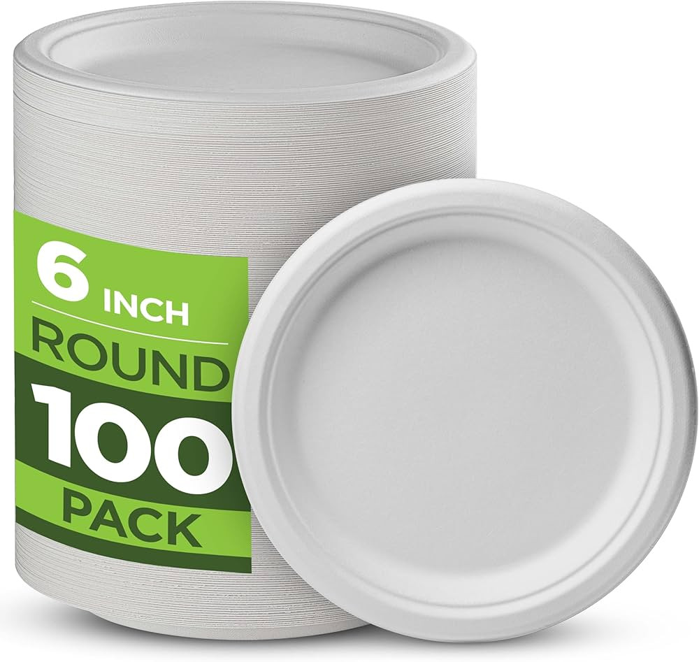 100% Compostable Paper Plates Heavy Duty -100 Pack Biodegradable Disposable Plates - 6 Inch White... | Amazon (US)