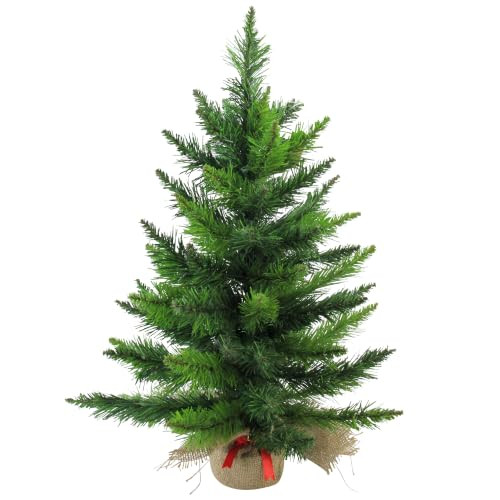 Northlight 24" Mini Balsam Pine Artificial Holiday Tree in Burlap Base - Unlit | Amazon (US)
