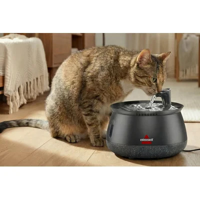 HydrateWell automatic water fountain | Wayfair North America