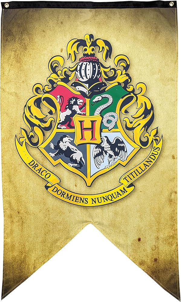 Harry Potter Wall Banner - Large Size 30" x 50" - Indoor Fabric Banner (Hogwarts) | Amazon (US)