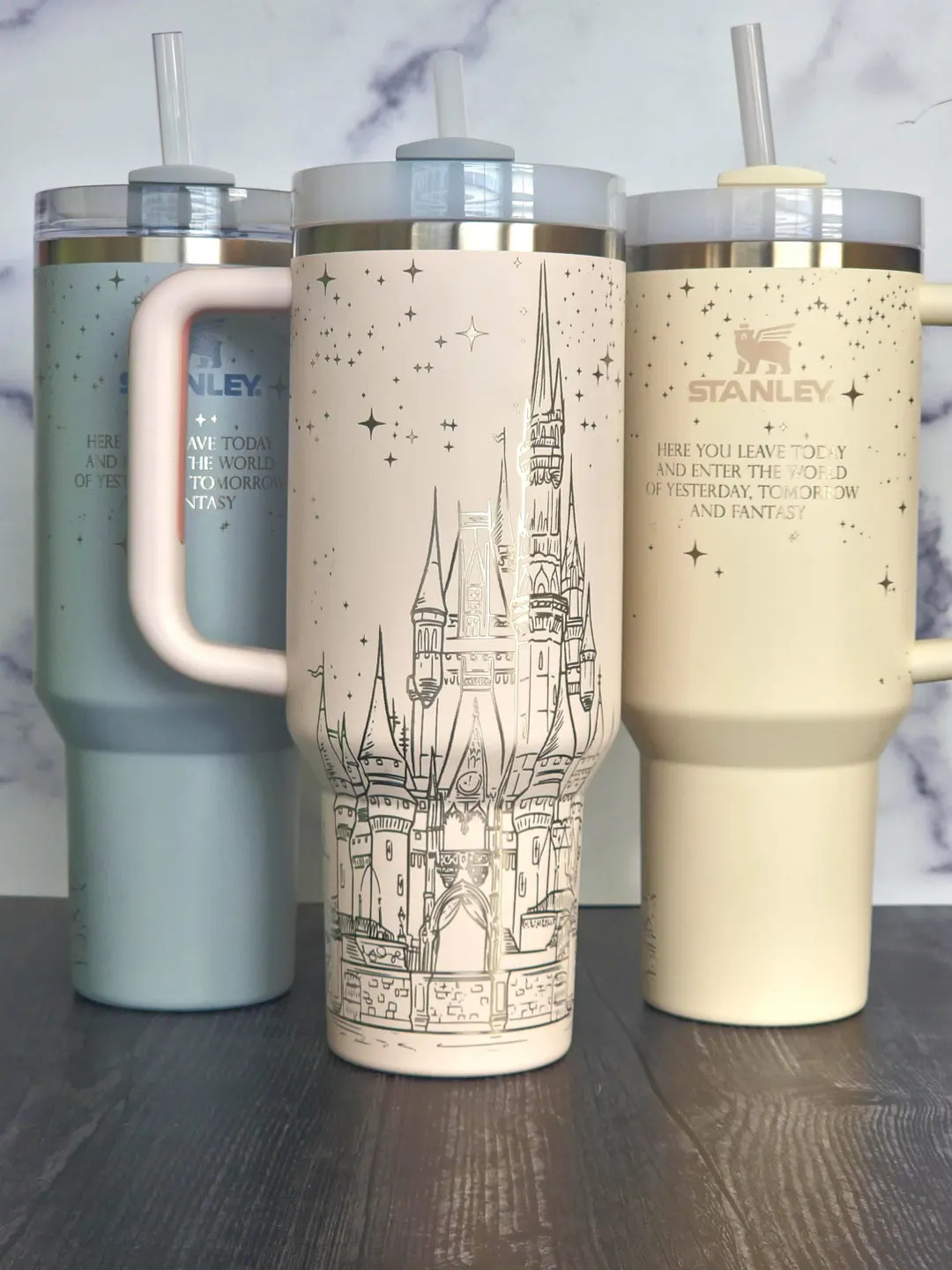 Magical Castle 40 Oz Tumbler Quencher 2.0, Pixie Dust Fantasy, Cinderella, Full Wrap Engraved Tum... | Etsy (US)