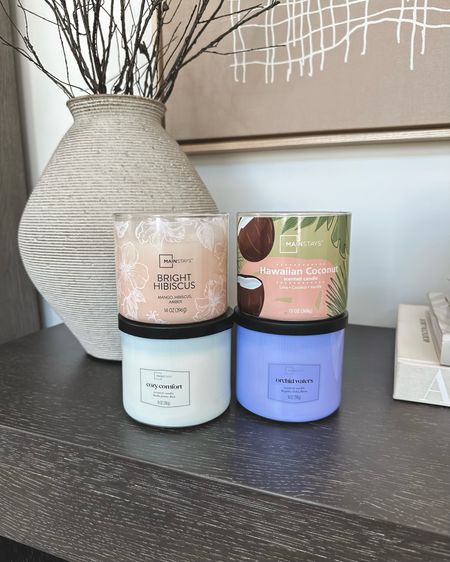 This $5.97 planter will upgrade your 3 wick candles, making them aesthetically pleasing with your home decor!
These candles are only $5.97 as well. My favorite scents are Hawaiian Coconut, Bright Hbiscus, and Raspberry Peach Rose 
Makes a fantastic gift idea as well
Hostess gifts, teacher gifts 
Linking one of my favorite vases ..I have both sizes in both homes I love them so much! 🫣


#LTKHome #LTKGiftGuide #LTKStyleTip
