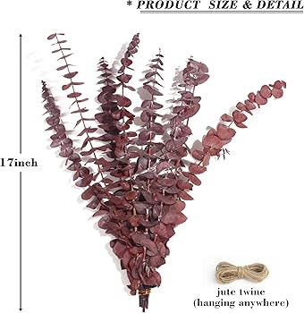 FLOKAY Dried Eucalyptus Bundle Fresh Eucalyptus Branches -12 Pcs / 17 in Real Natural Preserved E... | Amazon (US)