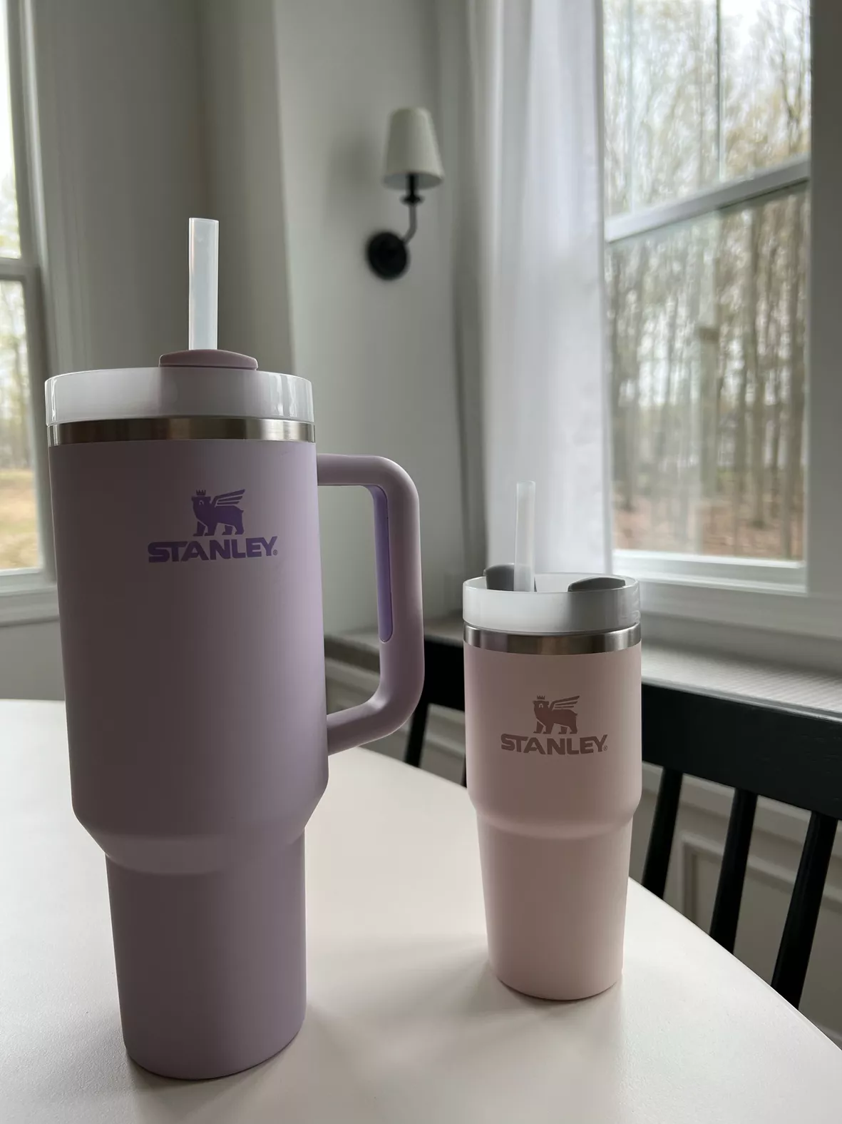  STANLEY The Quencher H2.0 FlowState Tumbler (Soft Matte)