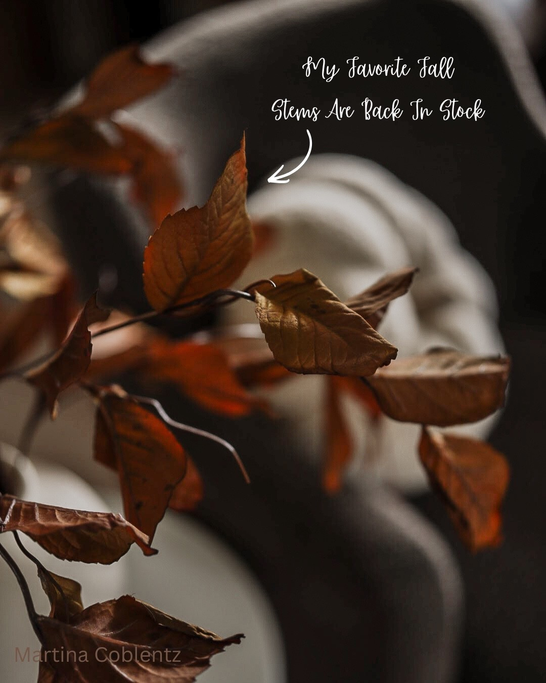 My fall stems are back! These sell out fast 
Use code: GETINSPIRED to save 

•home decor •neutral decor •organic modern home •moody decor •fall decor •fall stems •fall wreath •home

#LTKHome #LTKSeasonal
