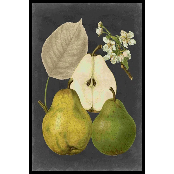 " Midnight Harvest III " by Vision Studio | Wayfair North America