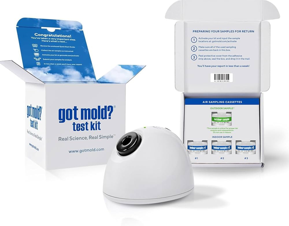 3 ROOM KIT | Test Your Air! Professional Quality Mold Test Kit for Home - All Fees Included - 1, ... | Amazon (US)