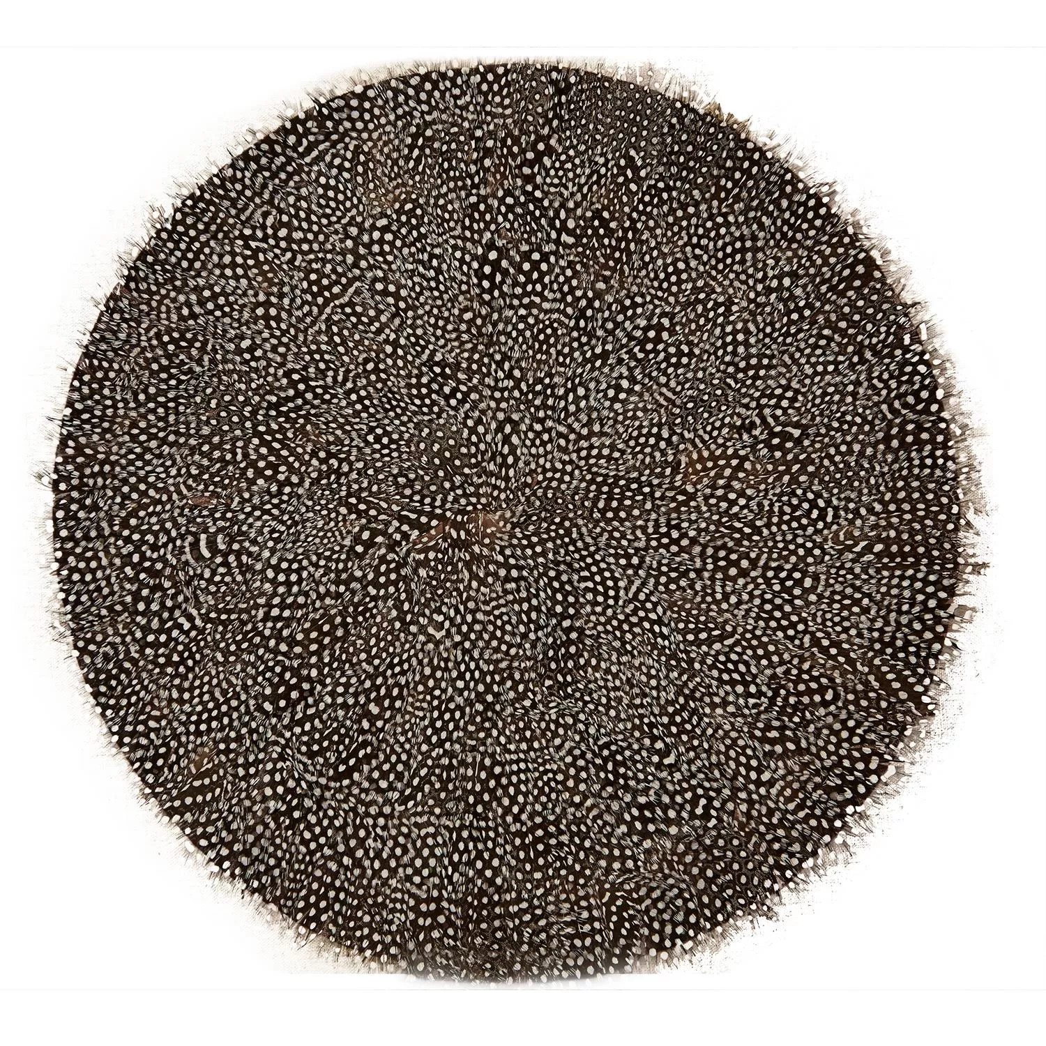 Two's Company Set of 6 Guinea Fowl Feather Placemats - Feathers | Gracious Style | Gracious Style, Inc.